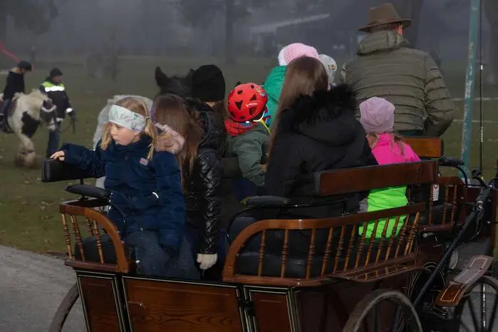 Besonders beliebt waren die Alpakawanderungen und romantischen Kutschenfahrten.