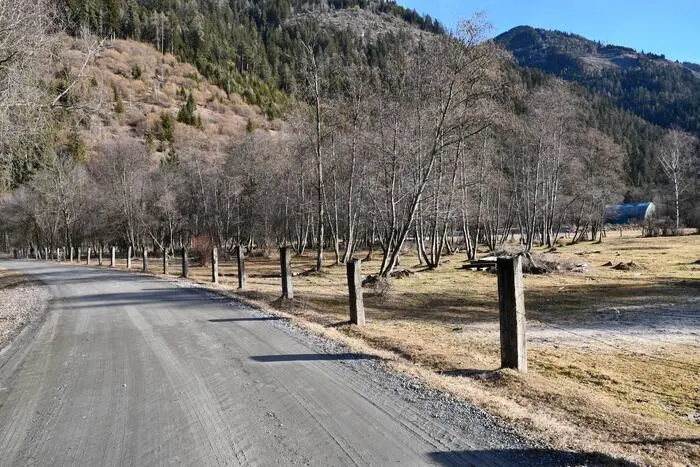 Der Auwald, der der Anlage weichen könnte