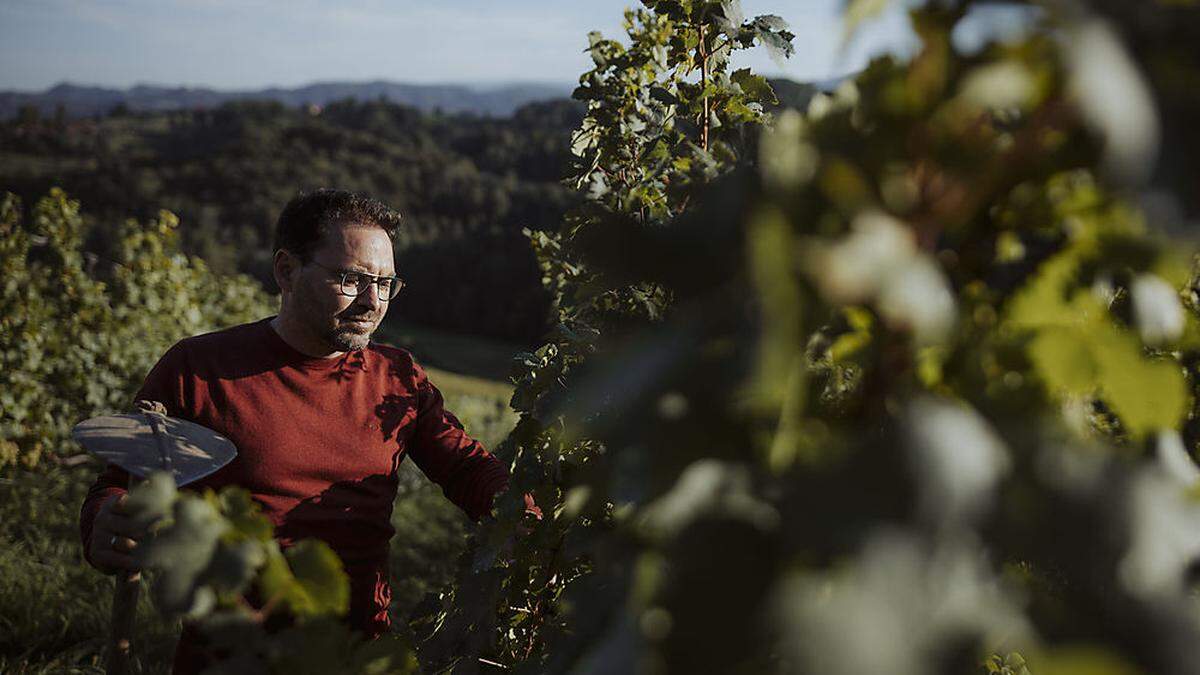 Stefan Potzinger ist Präsident des Weinbauverbands Steiermark und führt mit seiner Frau Heidi das Familienweingut in Gabersdorf 