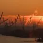 Deutschland, Hamburg, Hafen, Sonnenaufgang, Sonne, Industriehafen, Kräne, Silhouette, Elbe, oranger Himmel, Morgenlicht, Dunst, Werft, maritime Skyline, Containerhafen, Schiffsanleger, Anleger Theater im Hafen, HADAG *** Germany, Hamburg, harbor, sunrise, sun, industrial harbor, cranes, silhouette, Elbe, orange sky, morning light, haze, shipyard, maritime skyline, container port, jetty, jetty theater in the harbor, HADAG Copyright: xStefanxTrochax