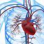 Patienten mit Herzinsuffizienz zählen zur Hochrisikogruppe