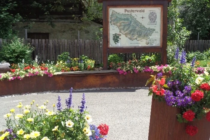 Fünf Floras