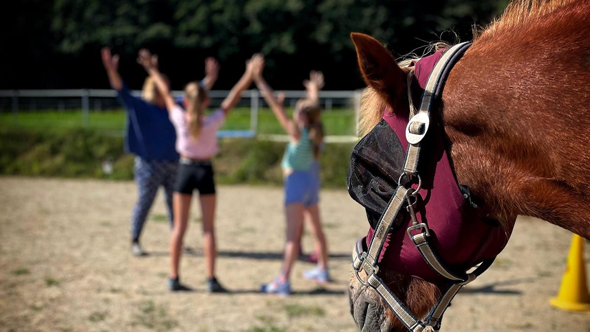 Im Juli findet das pferdegestützte Trainingscamp „Schluss mit Mobbing!“ statt