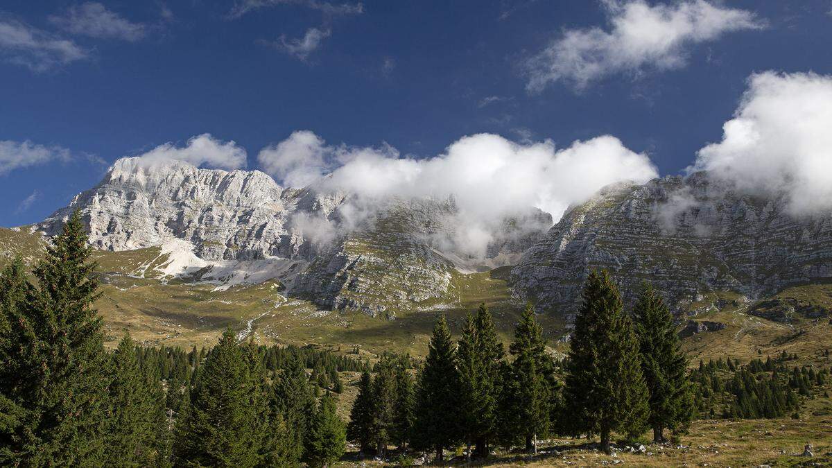 Wandererlebnis auf dem Cima di Terrarossa, der im Dreiländereck Österreich, Italien und Slowenien liegt