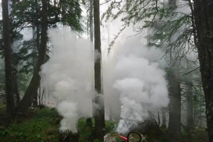 ... und da rauchte es schon gehörig im Wald. Klicken Sie sich durch die Bilder