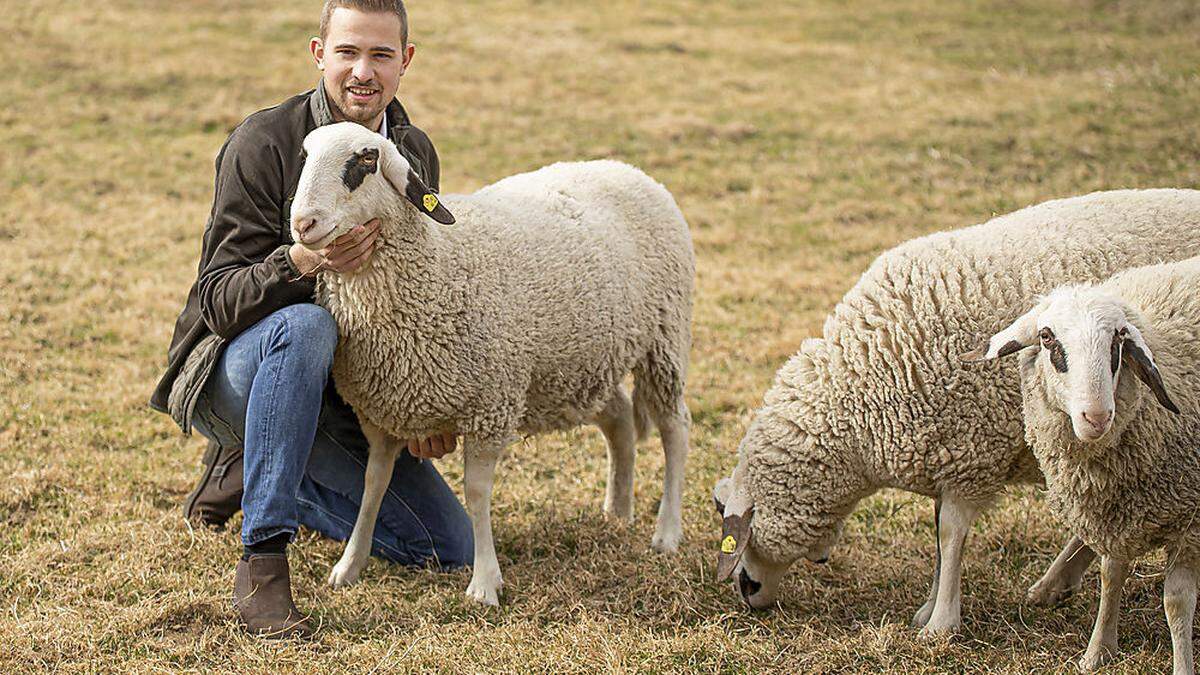 Die Bauern wollen ihr Schafe besser schützen