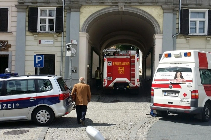 Diese Hainbuche wurde wie die anderen Bäume dieser Allee laufend kontrolliert.