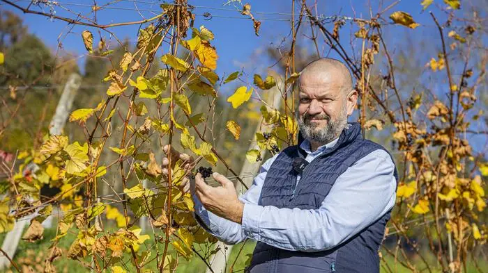 Siegfried Quendler, Leiter des Obst- und Weinbauzentrums Kärnten