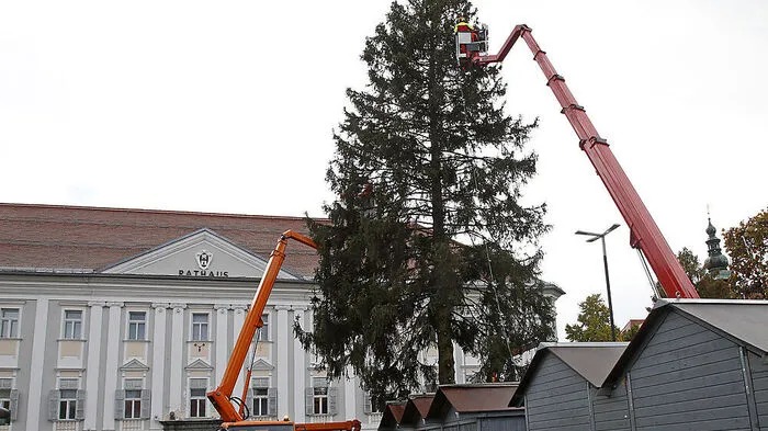 Mit Kranwägen werden die Mitarbeiter auf Baumhöhe gehoben