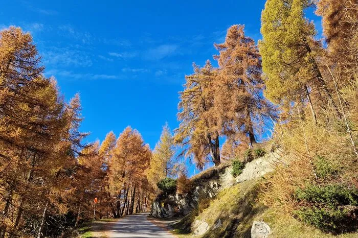 Auf dem Weg zur Bodenalm in Prägraten genoss unser Leser die fantastischen Farben und traumhaftes Wetter, bei Bodennebel im Tal.
