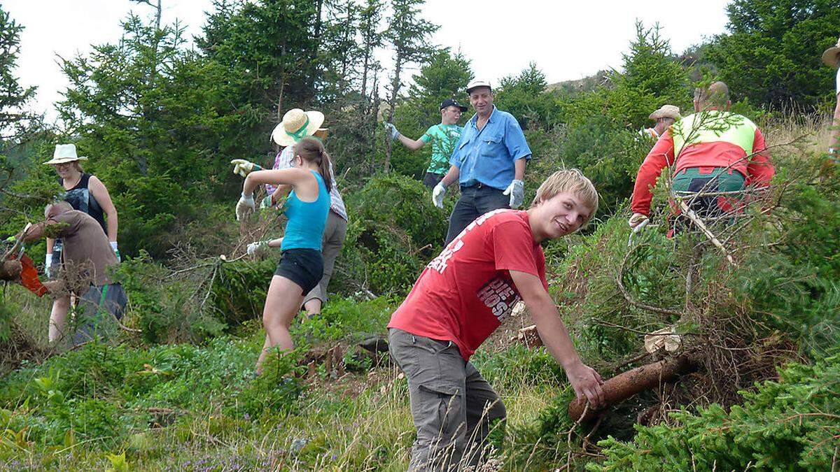 Beim „Tag der Almen“ am 22. Juli können Freiwillige bei der Pflege der Tiefsattelalm helfen