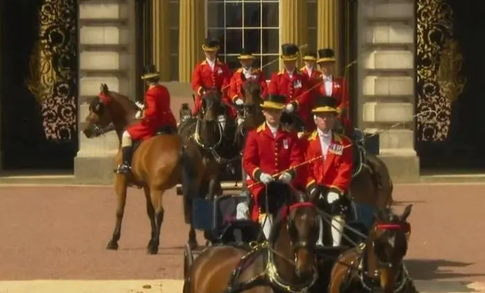 Das Pferd des Footman weigerte sich, in der Reihe zu bleiben