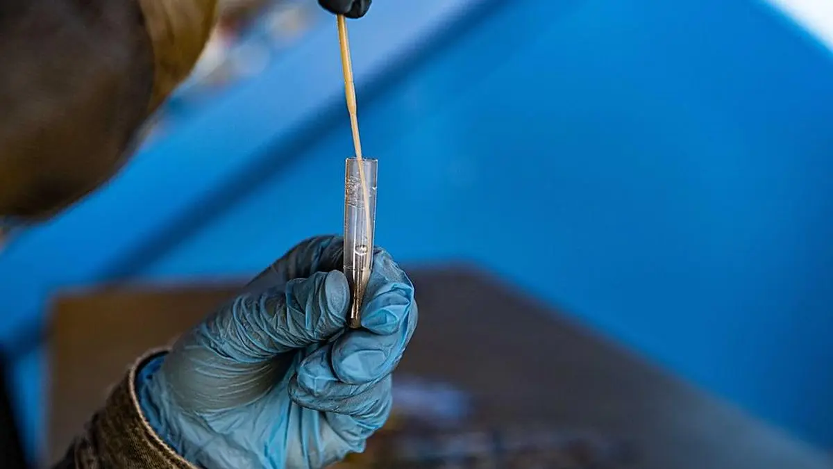 Die Zahl der mit Corona infizierten Personen ist im Bezirk Klagenfurt weiterhin hoch