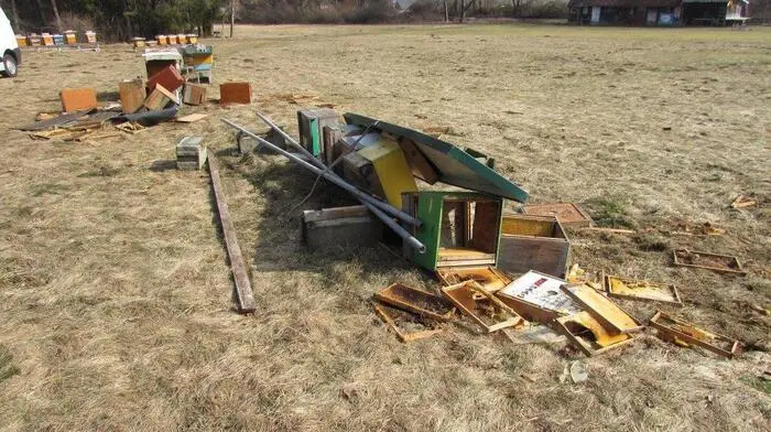 Gleich 13 Bienenstöcke plünderte ein Bär zwischen 18. und 20. März. Der Vorfall ereignete sich in Tratten bei Ferlach.