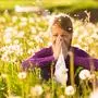 Vor allem windige und heiße Tage werden für Allergiker zur Herausforderung 