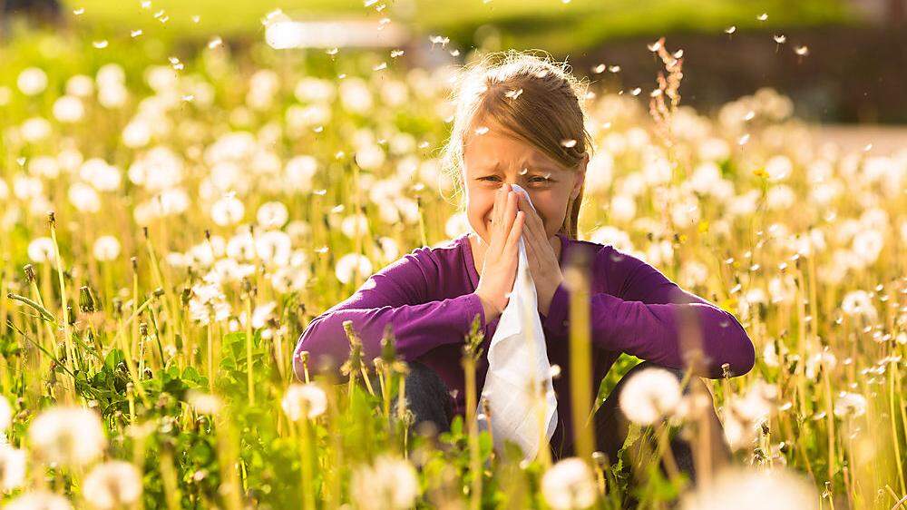 Vor allem windige und heiße Tage werden für Allergiker zur Herausforderung 