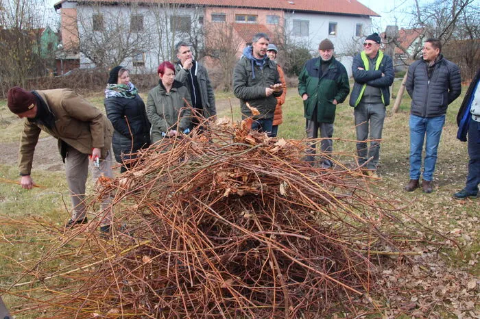 Nach nur einer knappen Stunde wurde die Hecke zurechtgeschnitten. Dass ist das Resultat.