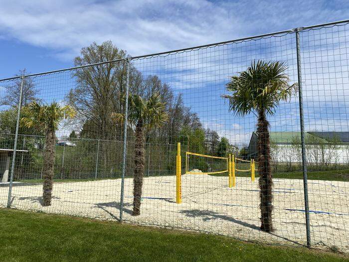 Drei Palmen begrüßen die Badegäste ab 1. Mai im Gleisdorfer Wellenbad