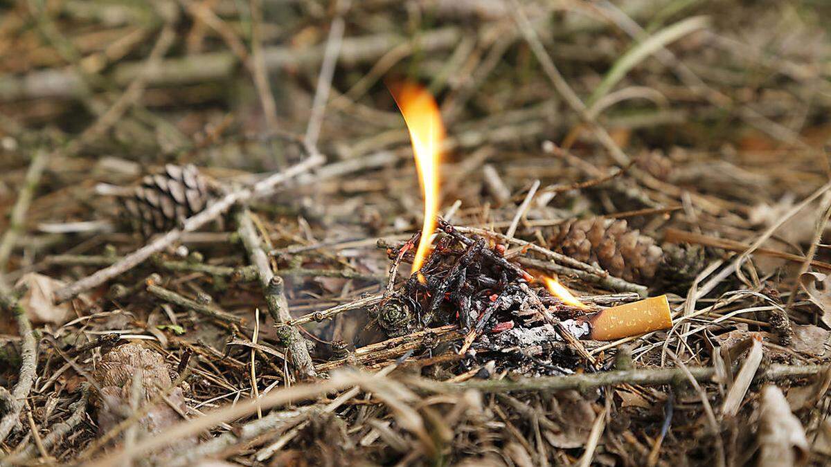 Ein weggeworfener Zigarettenstummel kann schon ausreichen, um einen Waldbrand auszulösen