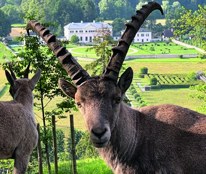 Der Tierpark Rosegg hat seit kurzem wieder geöffnet