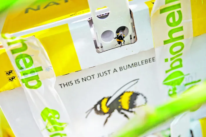 Hummeln (im Bild: Hummelbox) fressen zwar keine Schädlinge, sie werden aber im Obst- und Gemüsebau zur Bestäubung eingesetzt.
