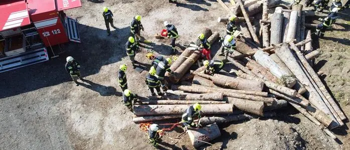 Vogelperspektive auf mehrere Holzstämme, rundherum sieht man Feuerwehrmänner
