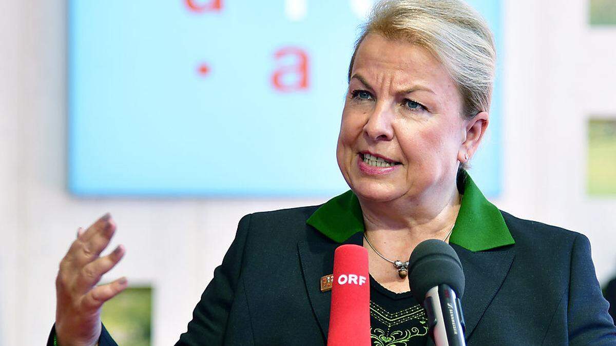 Im Visier der Opposition: Gesundheitsministerin Beate Hartinger-Klein