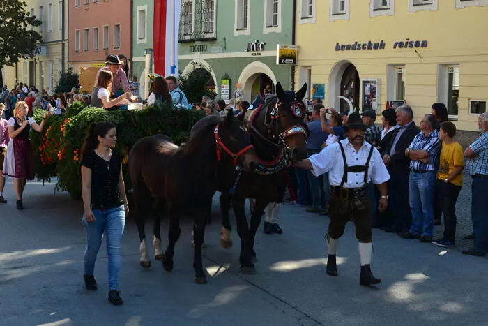 Die Wägen standen ganz im Zeichen der Tradition in den einzelnen Dörfern. Aber schauen Sie selbst, klicken Sie sich durch die Bilder. 