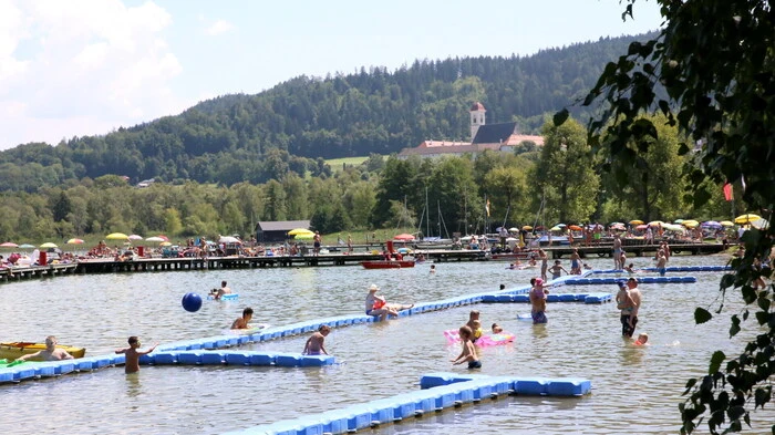 „Schwimmen statt Baden“ – so lautete am Samstagnachmittag das Motto am Längsee. 