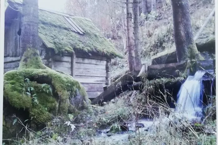 Die alte Trattnigmühle.