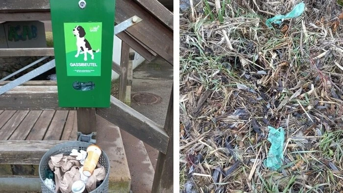 Links: Ein Gassimat der Stadt St. Veit, rechts: Hundekotsackerl wurden in der Natur entsorgt