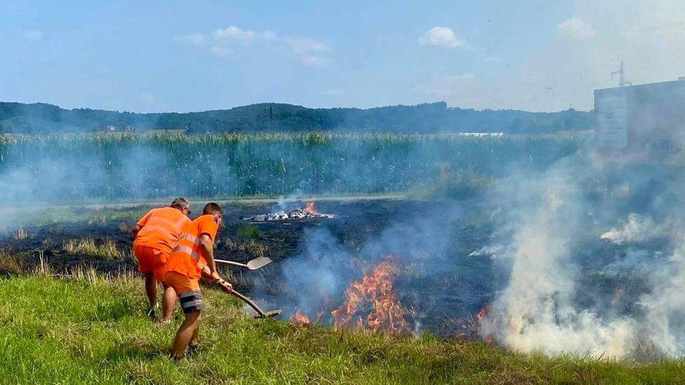 Mitarbeiter der Straßenmeisterei Südoststeiermark bekämpften das Feuer