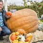Horst Jöbstl mit einem 200-Kilo-Kürbis, Sorte: „Atlantic Giant“. „Da hat mich das Fieber gepackt“
