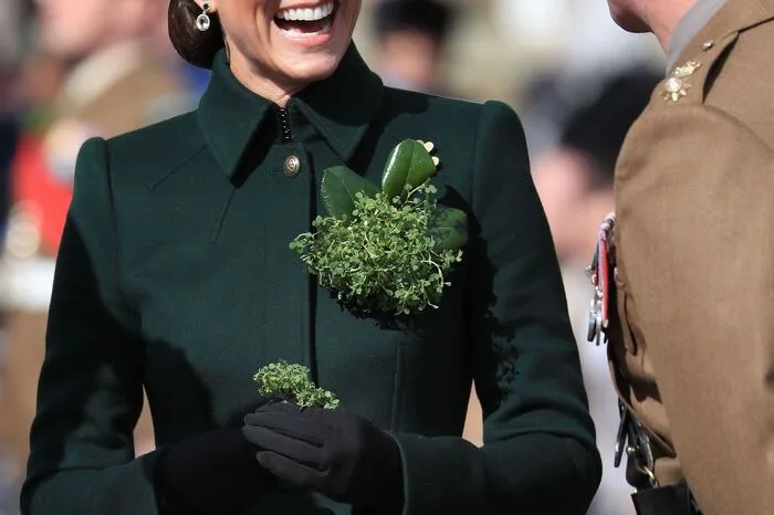 Das dreiblättrige Shamrock ist das Symbol Irlands. Patrick soll damit bei der Verbreitung des Christentums die Dreifaltigkeit erklärt haben.