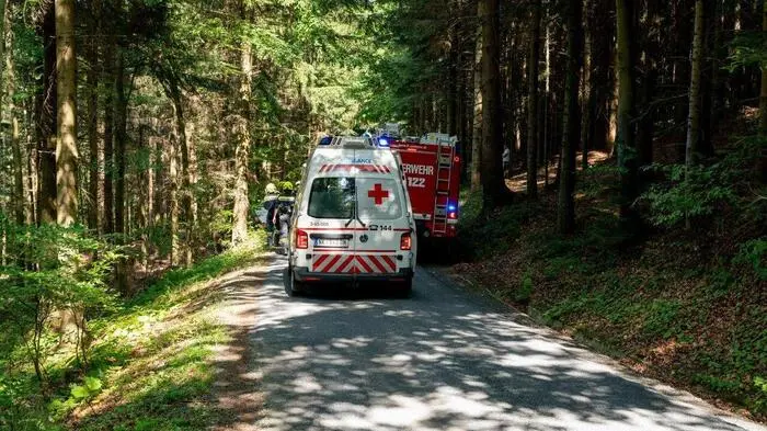Ein 31-Jähriger Rumäne krachte am Freitag mit seinem Kastenwagen gegen einen Baum.