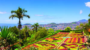 Besuchen Sie die traumhafte Insel Madeira!