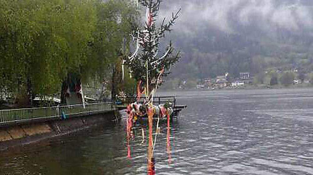 Maibaum im See: Wirklich harte Männer stellen einen Maibaum bei diesen Temperaturen auch in einen See