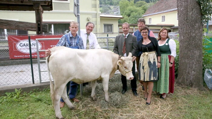 „Mein Liebling ist blond – Kärntner Blondvieh, Kärntens Invieh“: So lautete am Sonntag das Motto in Eberstein im Görtschitztal, wo das 22. Blondviehfest über die Bühne ging. 