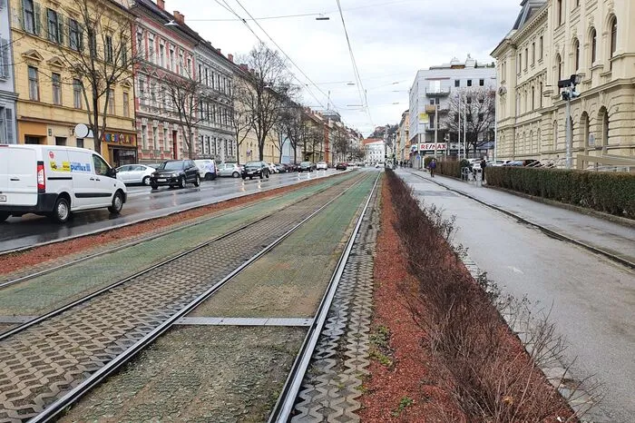 Nur auf jener Seite direkt vor dem Straflandesgericht stehen die Pflanzen noch.