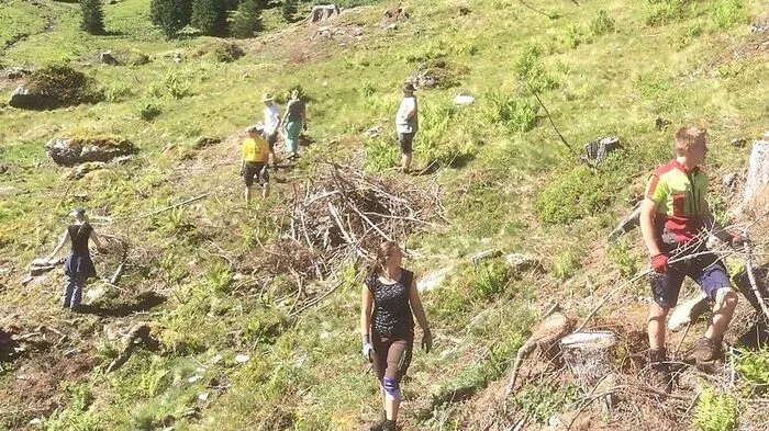 Auf der Finsterkaralm ...