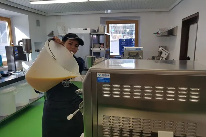 Frisches Fruchtpüree wird in die Eismaschine gefüllt