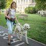Diana Klemen hat Blindenführhund Lennox an ihrer Seite