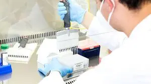 Im neuen PCR-Testauswertungslabor in Graz