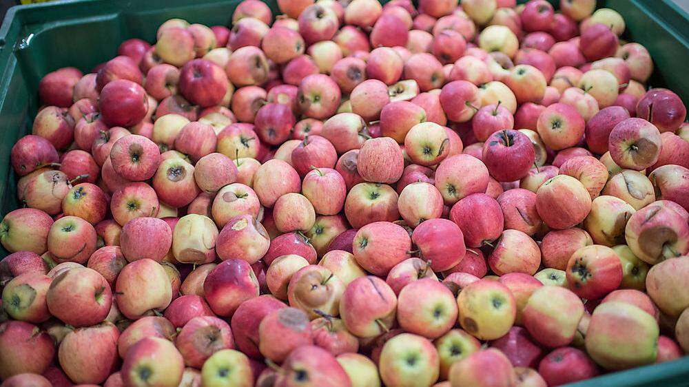 Wie viel Pestizide stecken in heimischen Äpfeln?