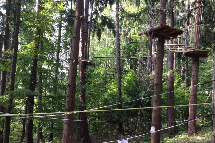 Der Unterschied zu anderen Kletterparks: Hier braucht man sich nur einmal - beim Start - anseilen.
