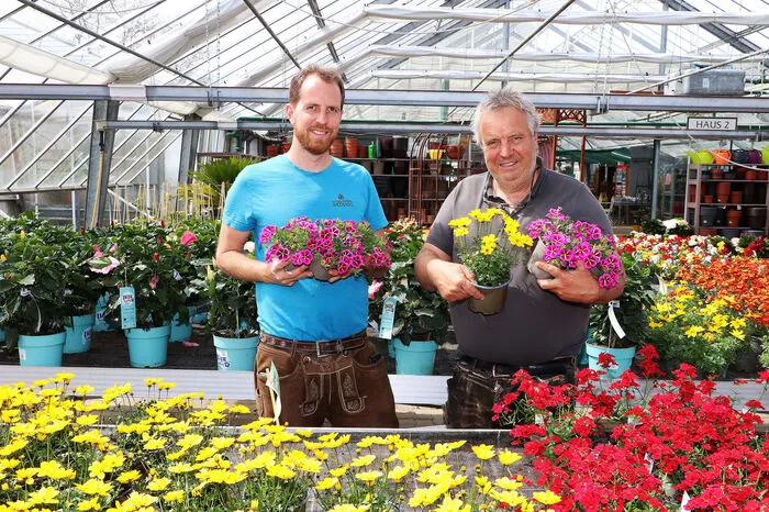 Bei der Naturgärtnerei Wedenig in Feldkirchen empfehlen Gärtnermeister Simon Wedenig und sein Vater Michael Wedenig die Blume des Jahres - nämlich "Frida Fröhlich". Sie besticht mit kugeligem Wuchs und zahlreichen fuchsiafarbigen Blüten mit gelbem Stern.