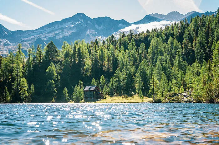 Salzburg. Umgeben von Bäumen, Moosen, Blumen und Wollgras liegt der Reedsee auf einer Höhe von 1831 Metern im Gasteinertal.
