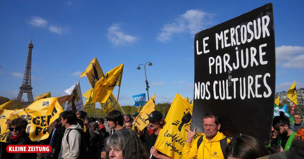 Mercosur: EU-Parlament stimmt Agrarschutzklauseln zu