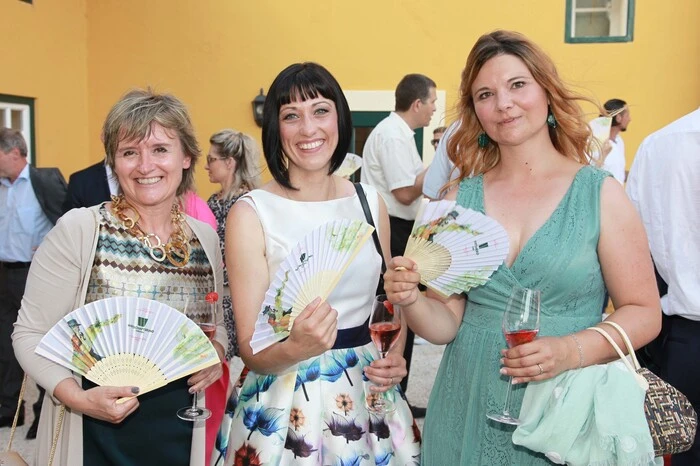 Bitte klicken Sie sich durch die Bilder von der WB-Sommergala.