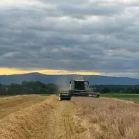 Viele Landwirte mussten früher als üblich mit der Ernte starten